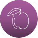 Stone fruit [icon]