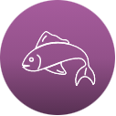 Fish [icon]