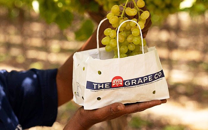 Paper grape bags [photo]
