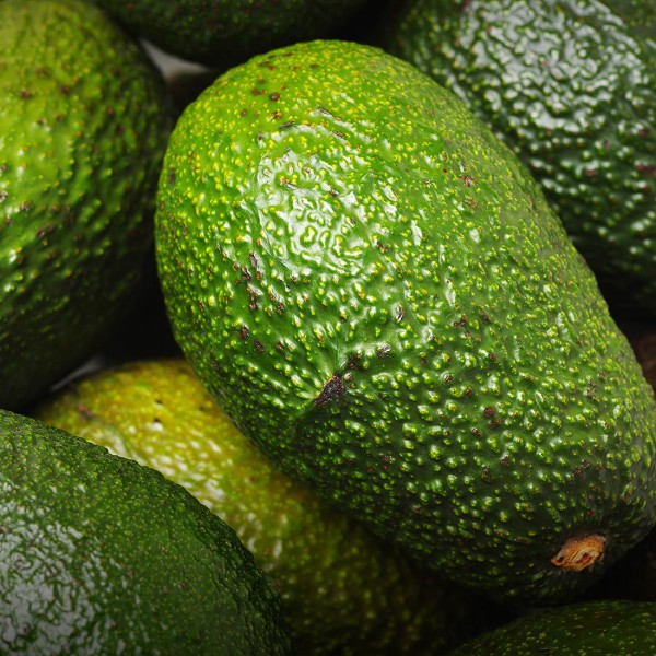 Avocadoes