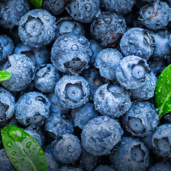 Blueberries