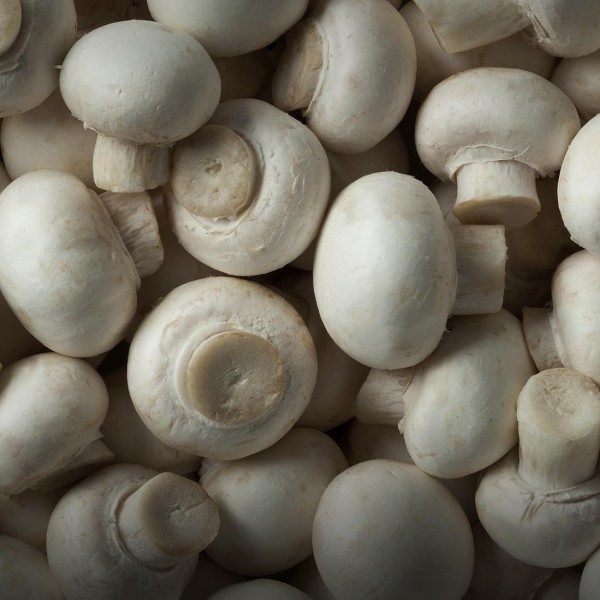 Mushrooms