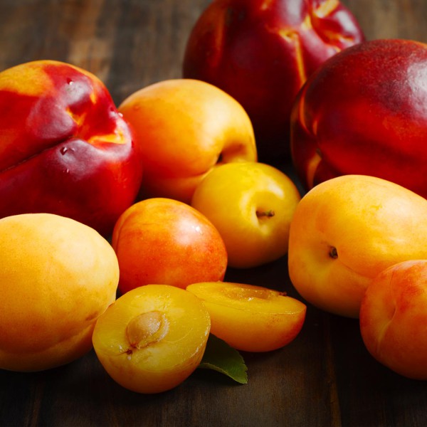 Stone fruit