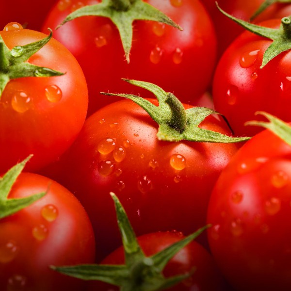Tomatoes