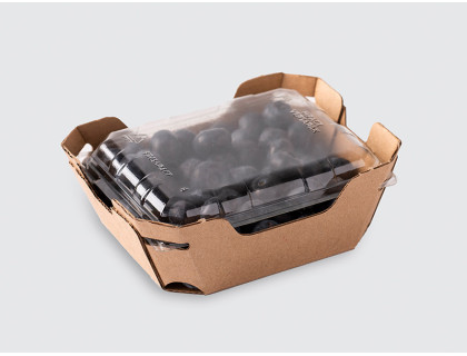 125g Blueberry Glued Tray with Lid