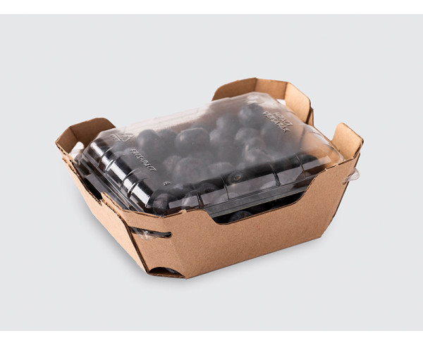 125g Blueberry Glued Tray with Lid
