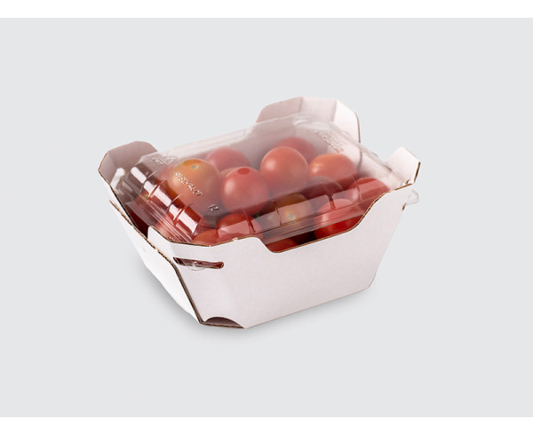 200g Tomato/180g Berry Glued Tray with Lid