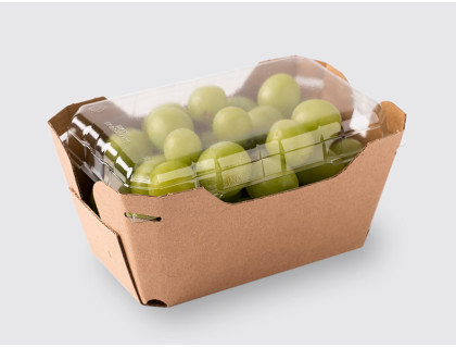 500g Grape Punnet with Lid 
