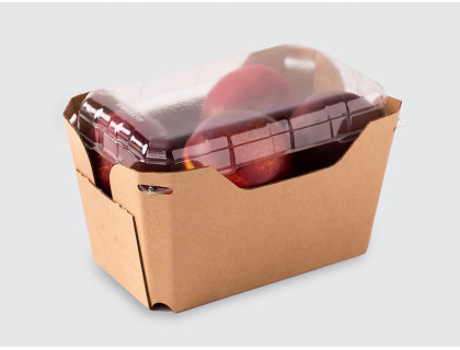 800g Plum/Apricot/Dragon Punnet with Lid