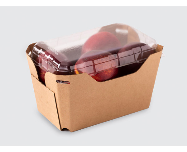 800g Plum/Apricot/Dragon Punnet with Lid