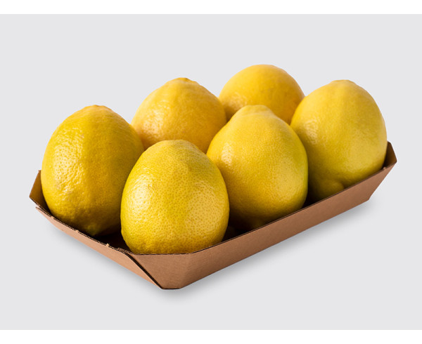 Glued Tray 73 BIO