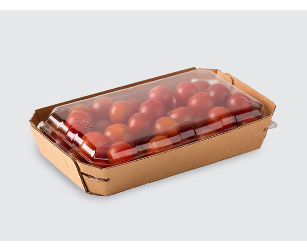 ''Low' Glued Tray with Lid